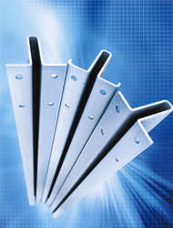 Ray T50